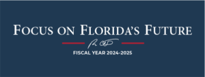 Fiscal Year 2024-2025